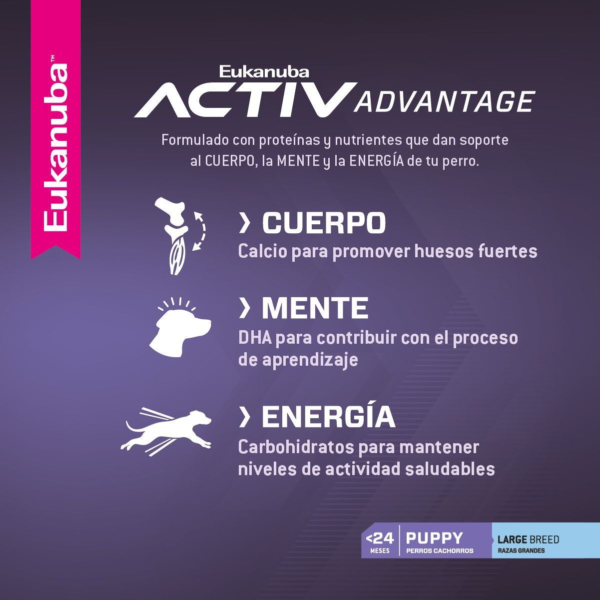 EUKANUBA PUPPY LARGE BREED