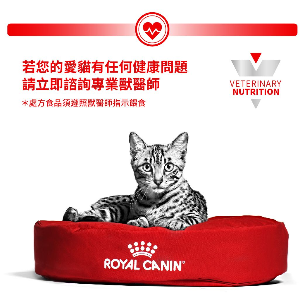 Feline Gastrointestinal High Energy Dry Cat Food Royal