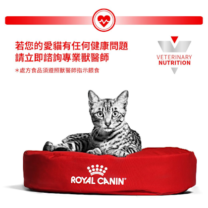 Royal canin feline gastrointestinal best sale high energy