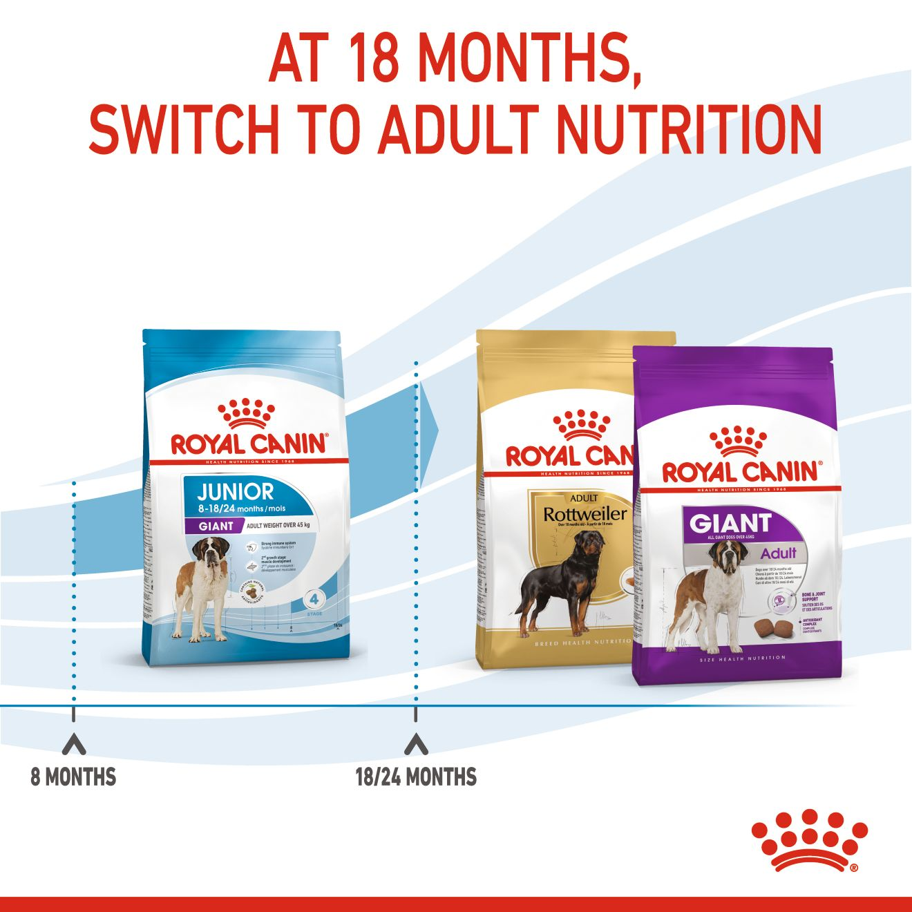 Royal canin giant dog food sale