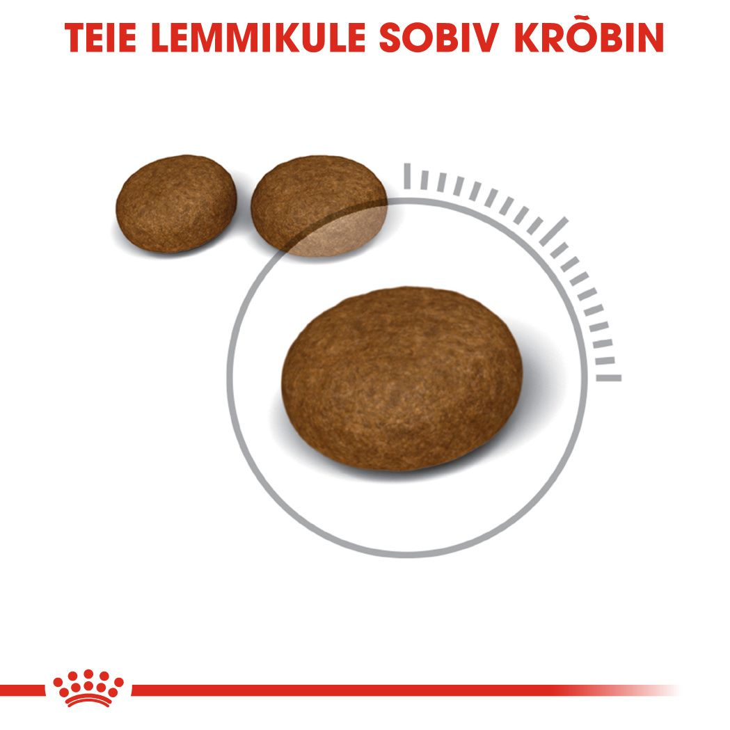 Royal Canin Hair & Skin Care kuivtoit