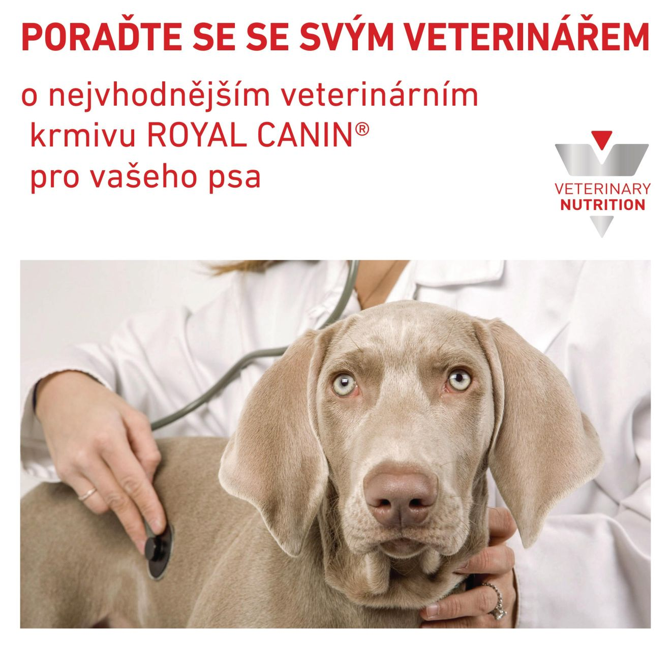 VHN Dog Hypoallergenic Moderate Calorie