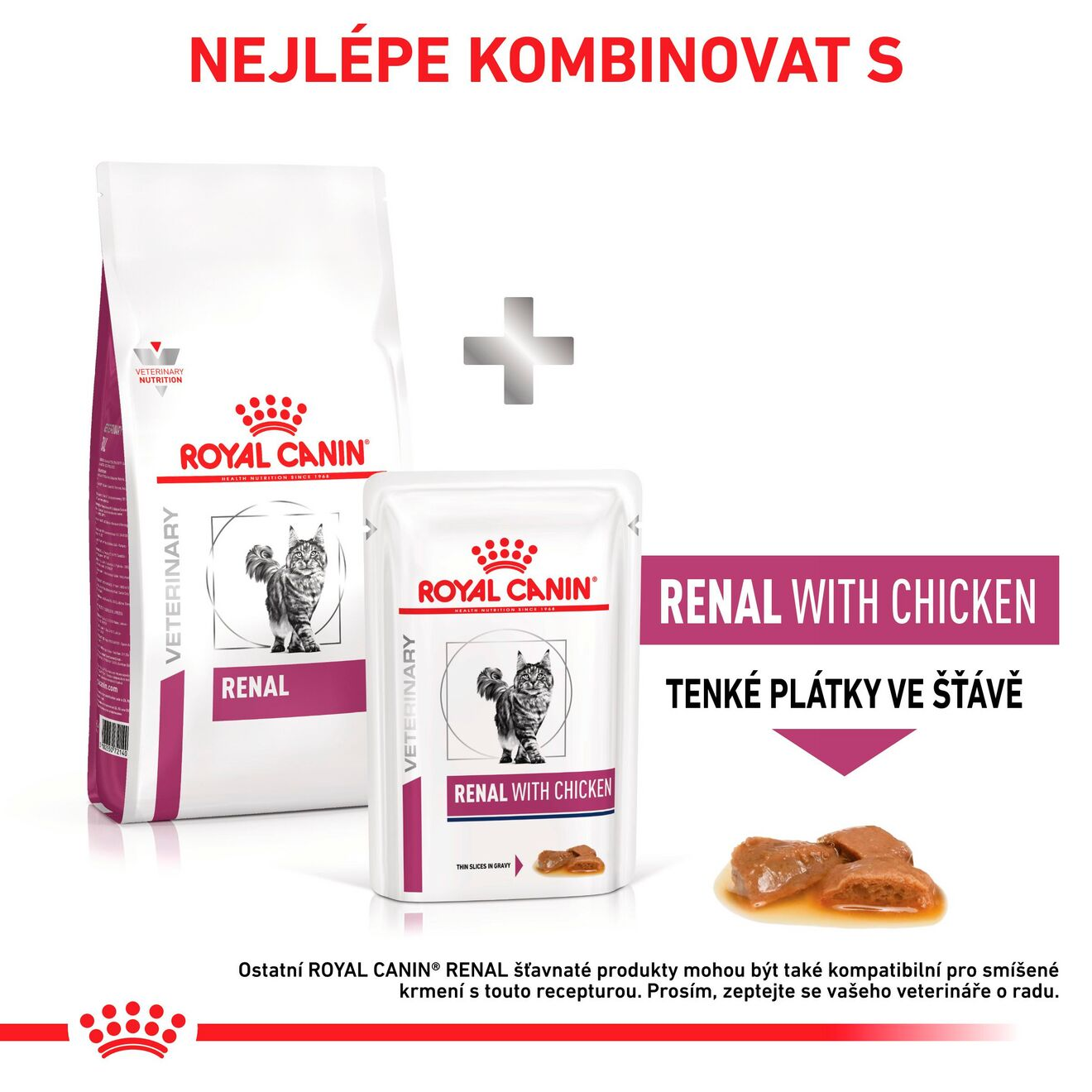 VHN Cat Renal