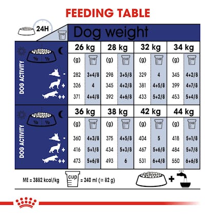 SHN-AgeingMaxi8-CV-EretailKit-4