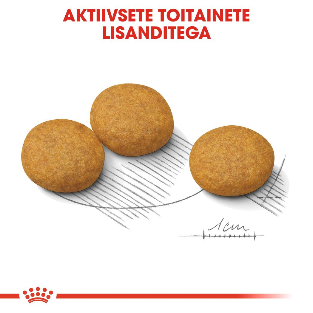 Royal Canin Medium Dermacomfort kuivtoit