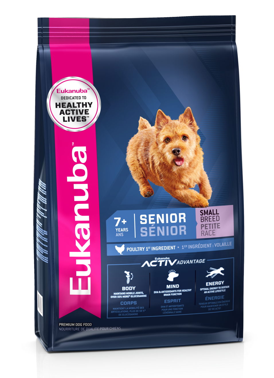 Brain food shop for senior dogs