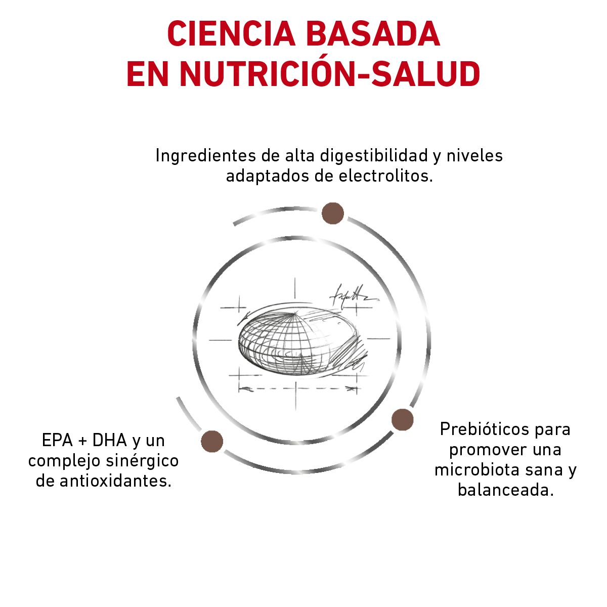 Gastro-Intestinal