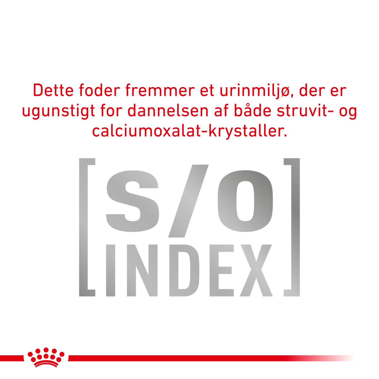 Weight Management Diabetic Bidder i sovs