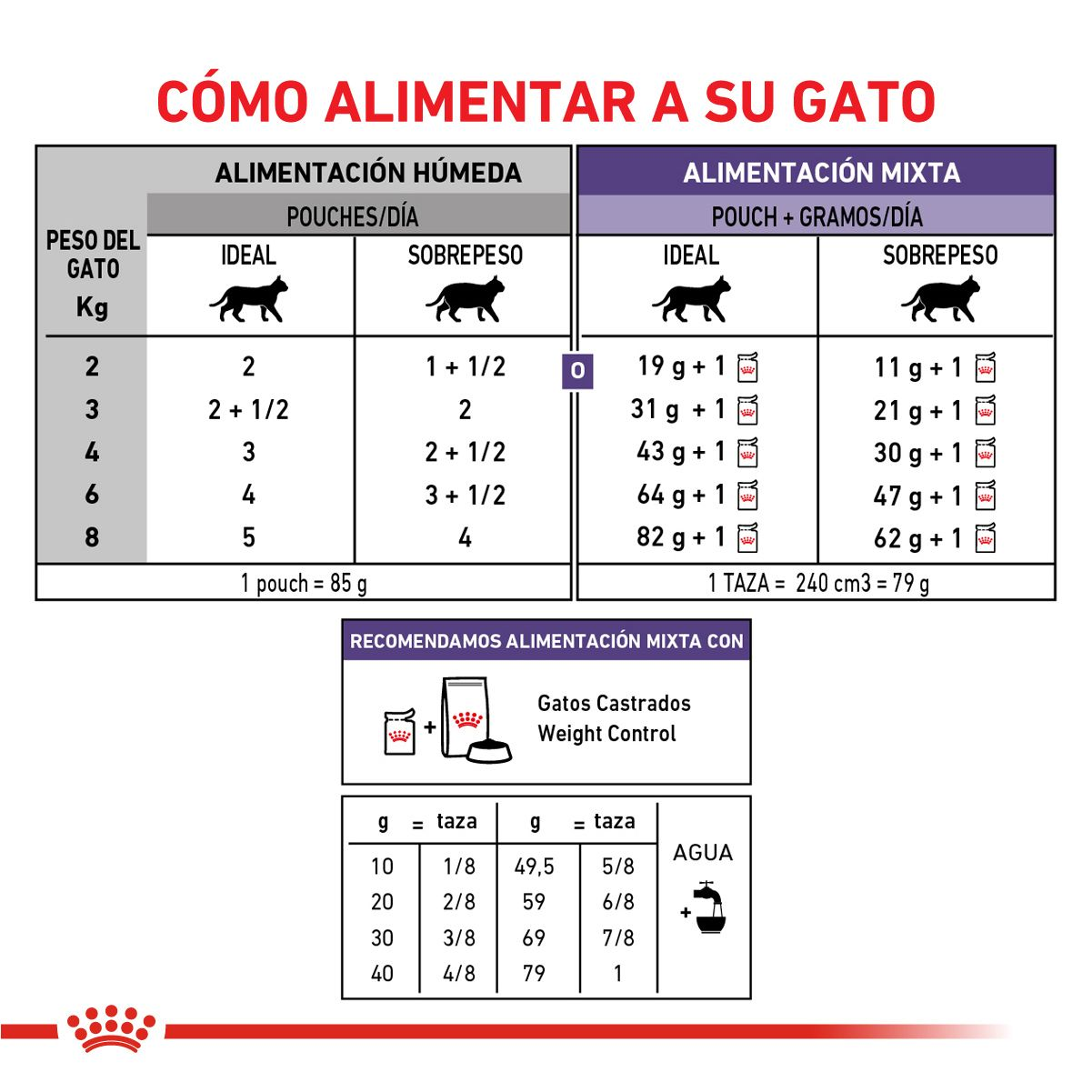 Gatos Castrados - Neutered Balance