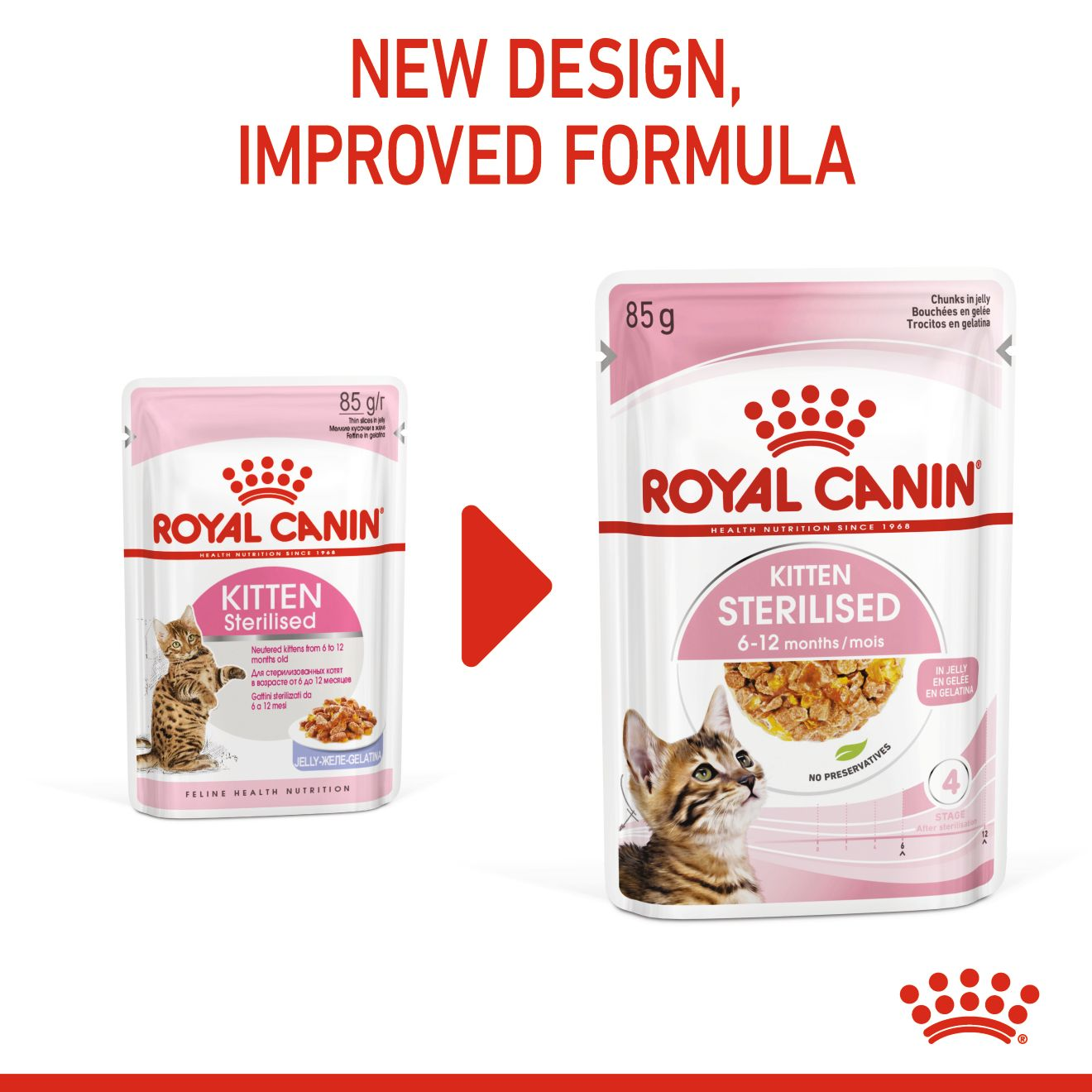 Royal canin outlet kitten formula