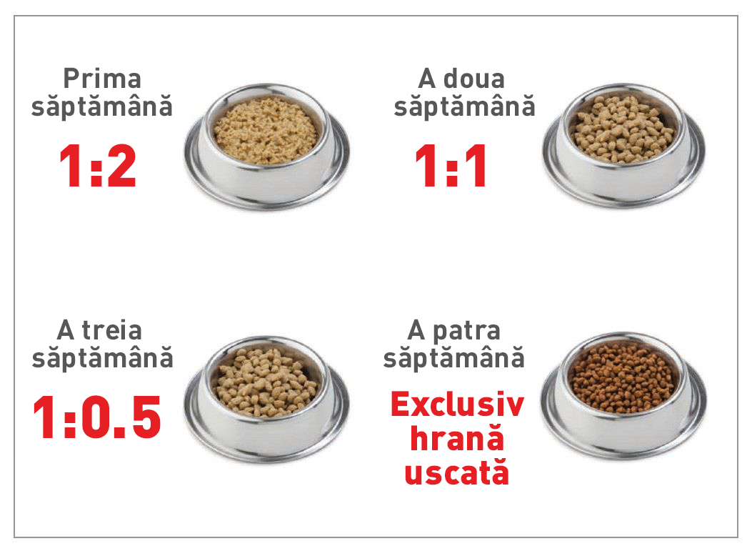  imaginea ilustrează raportul de apă și hrană uscată (în funcție de volum, nu de greutate) care trebuie utilizat pentru rehidratare. În prima săptămână de înțărcare, se poate utiliza un înlocuitor de lapte în loc de apă.