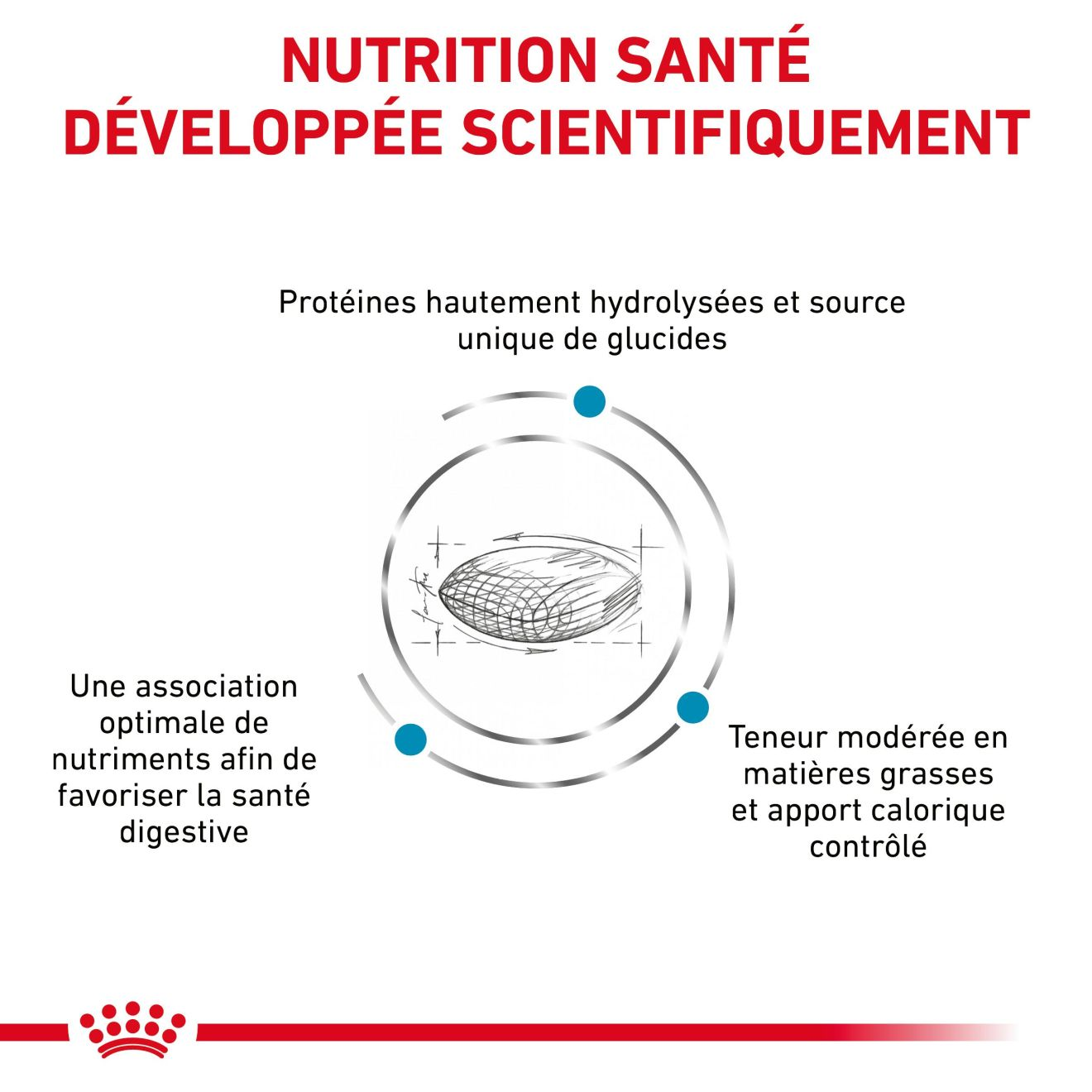 Hypoallergenic Moderate Calorie