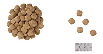 12 VCNF DRY Kibbles - SENC-ST1-BA-VCNC-CROC