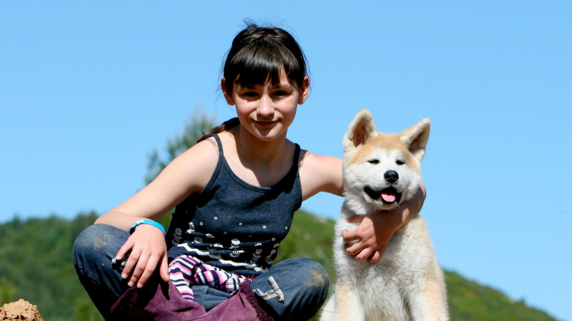 Little girl sat on rock with arm around an Akita Inu puppy