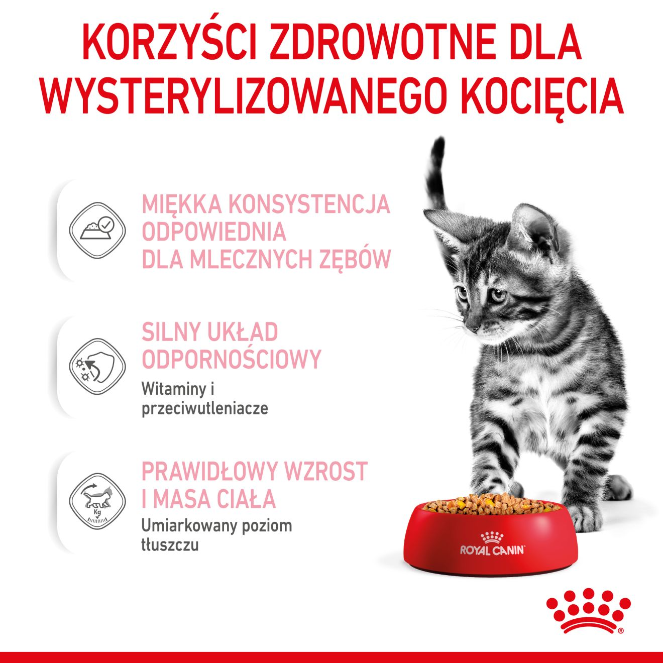 ROYAL CANIN Kitten Sterilised  karma mokra w galaretce dla kociąt do 12 miesiąca życia, sterylizowanych