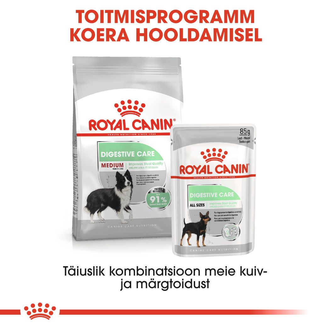 Royal Canin Medium Digestive Care kuivtoit