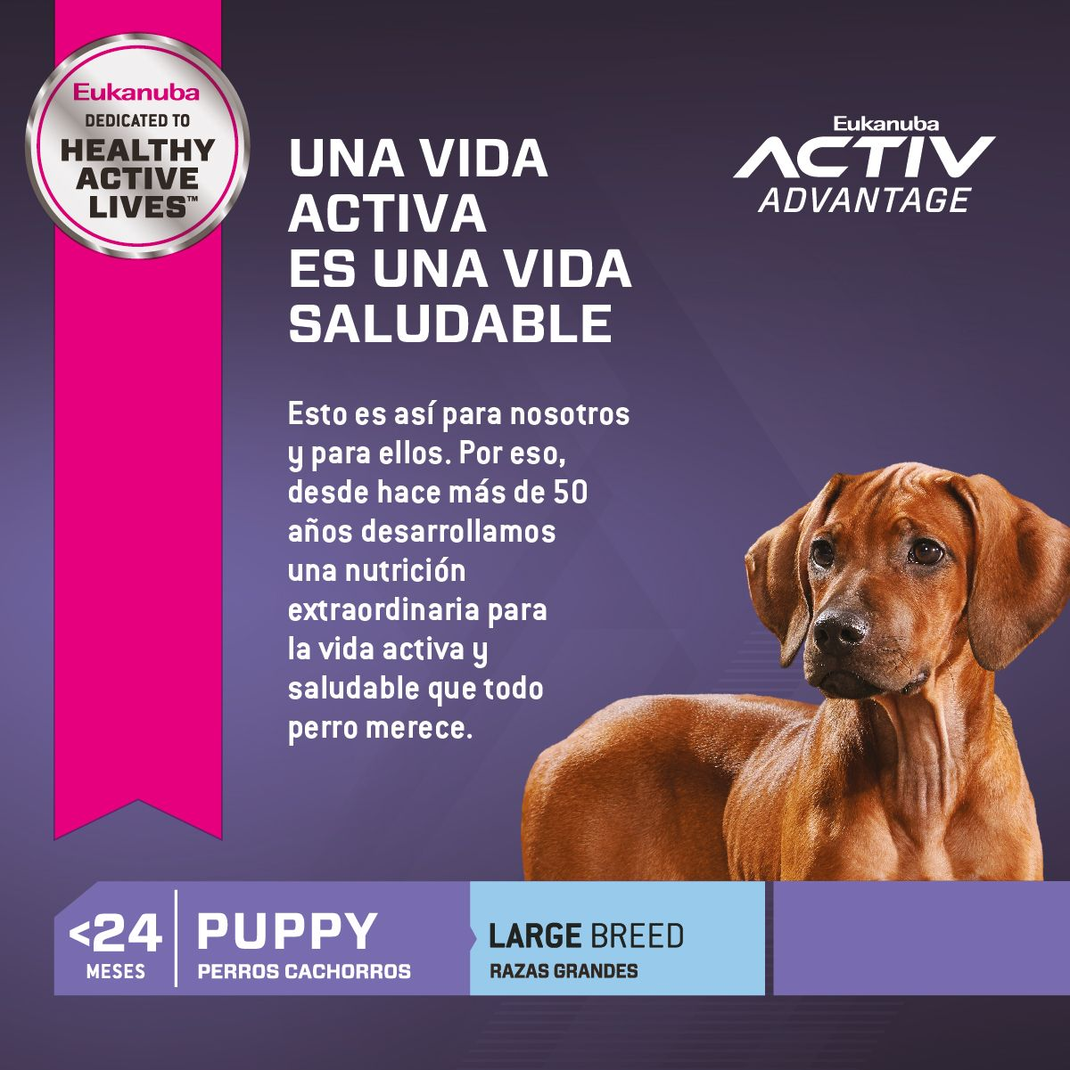 EUKANUBA PUPPY LARGE BREED