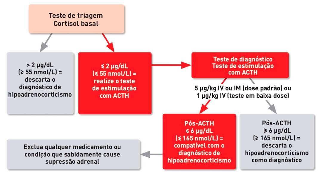 Algoritmo diagnóstico para testes endócrinos em cães com suspeita de hipoadrenocorticismo