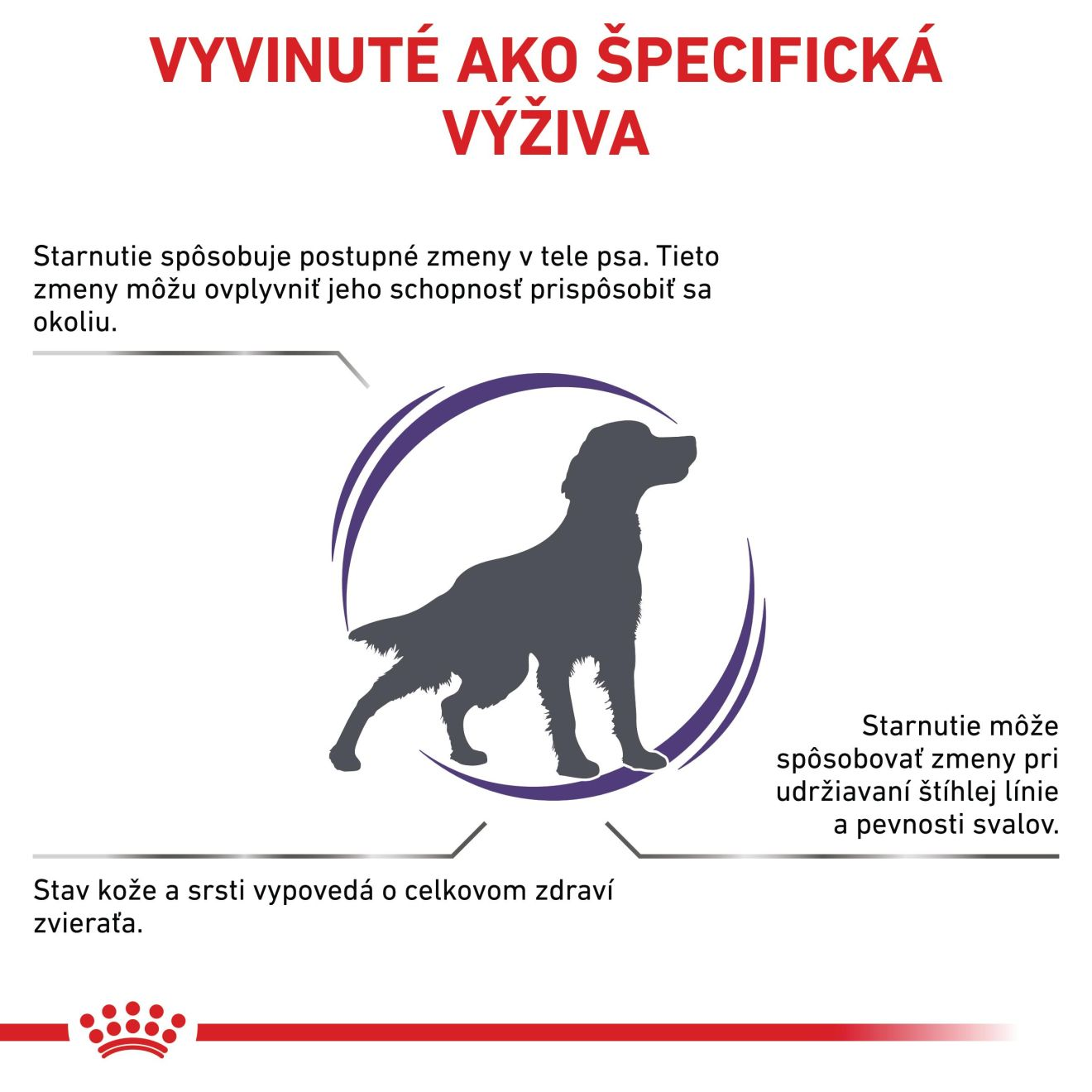 VHN Mature Consult medium dog