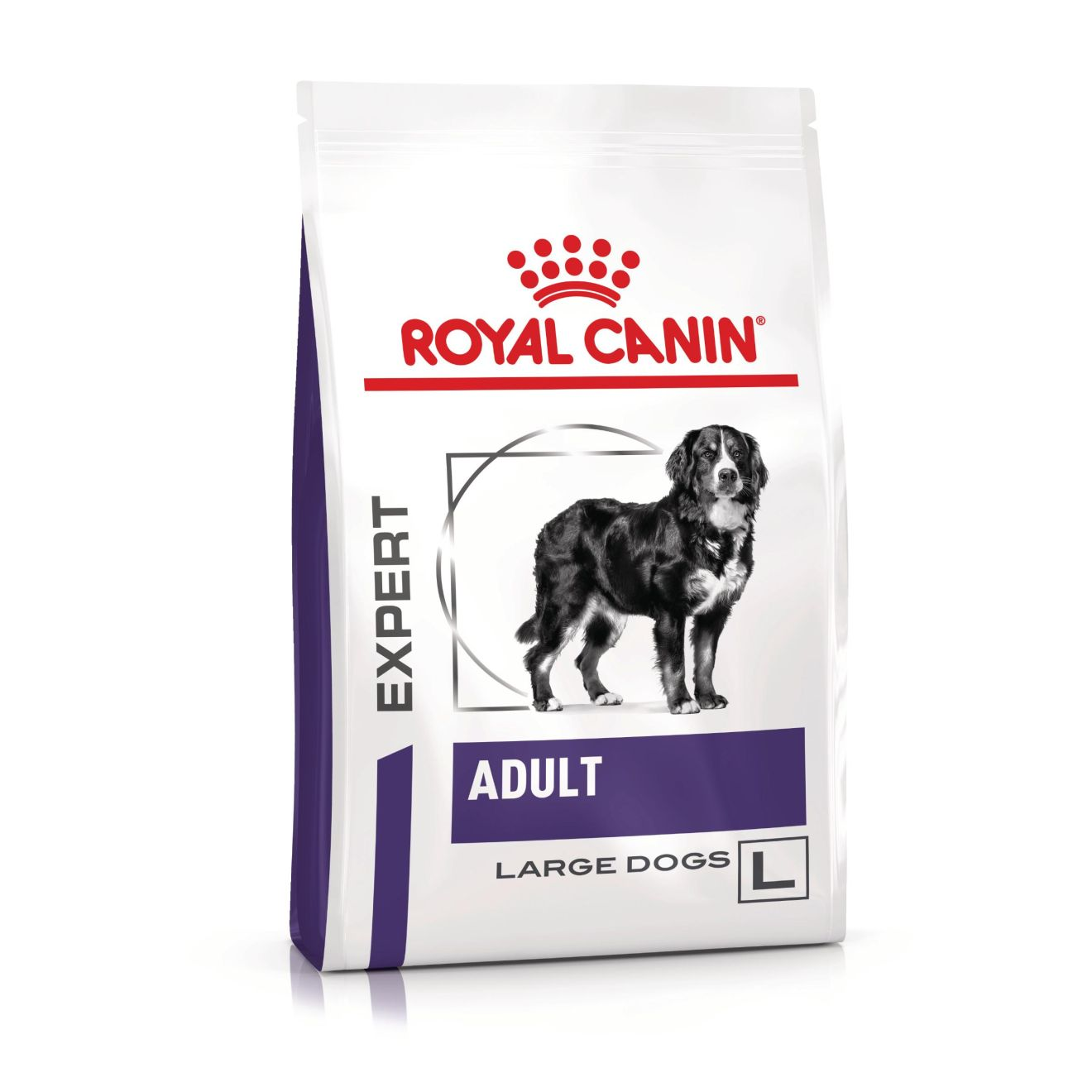 VHN  Adult large dog