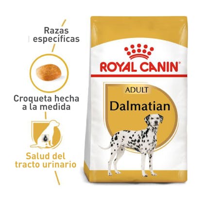 BHN Dalmatian Adult Colombia 1
