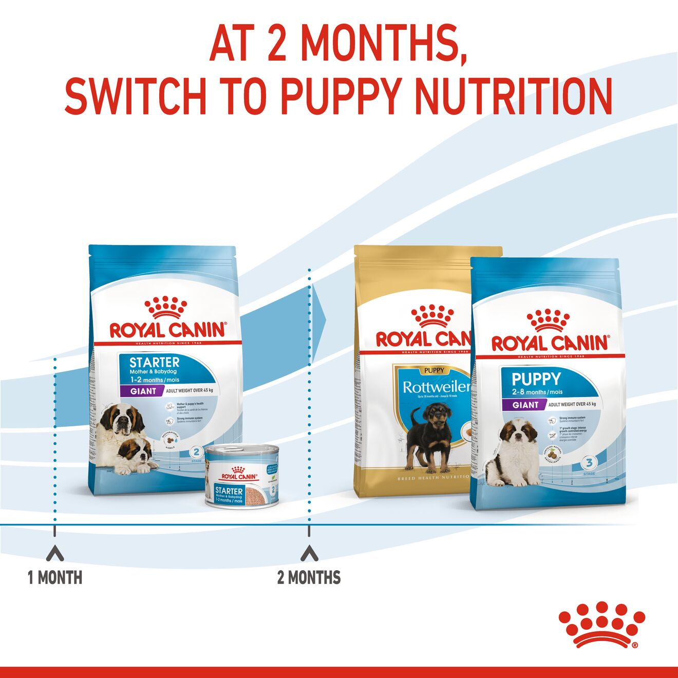 Royal canin giant hot sale puppy 45 kg