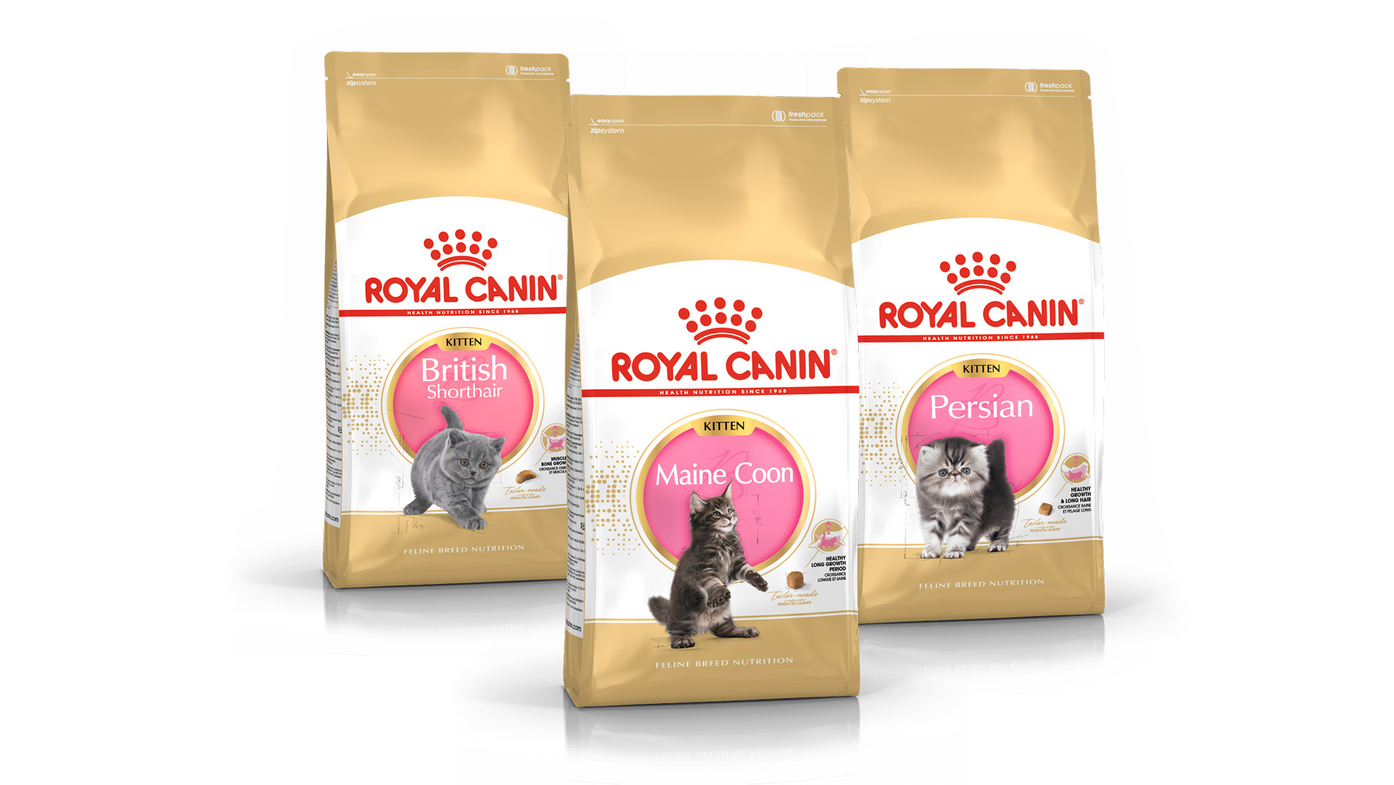 ROYAL CANIN Nahrungen für Rassekatzen