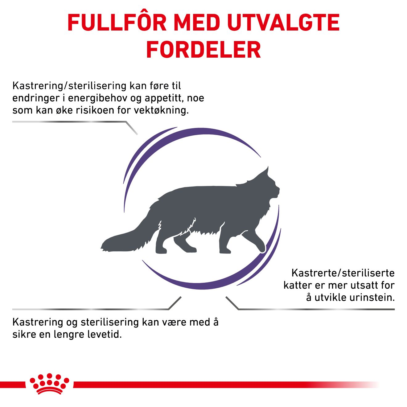 Health Neutered Satiety Balance