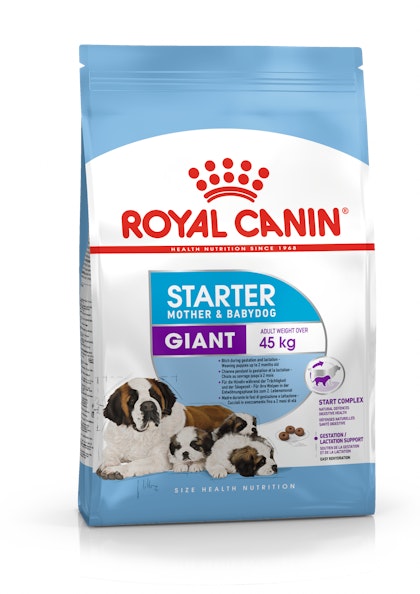 PACKSHOT-STARTER GIANT_SHN17