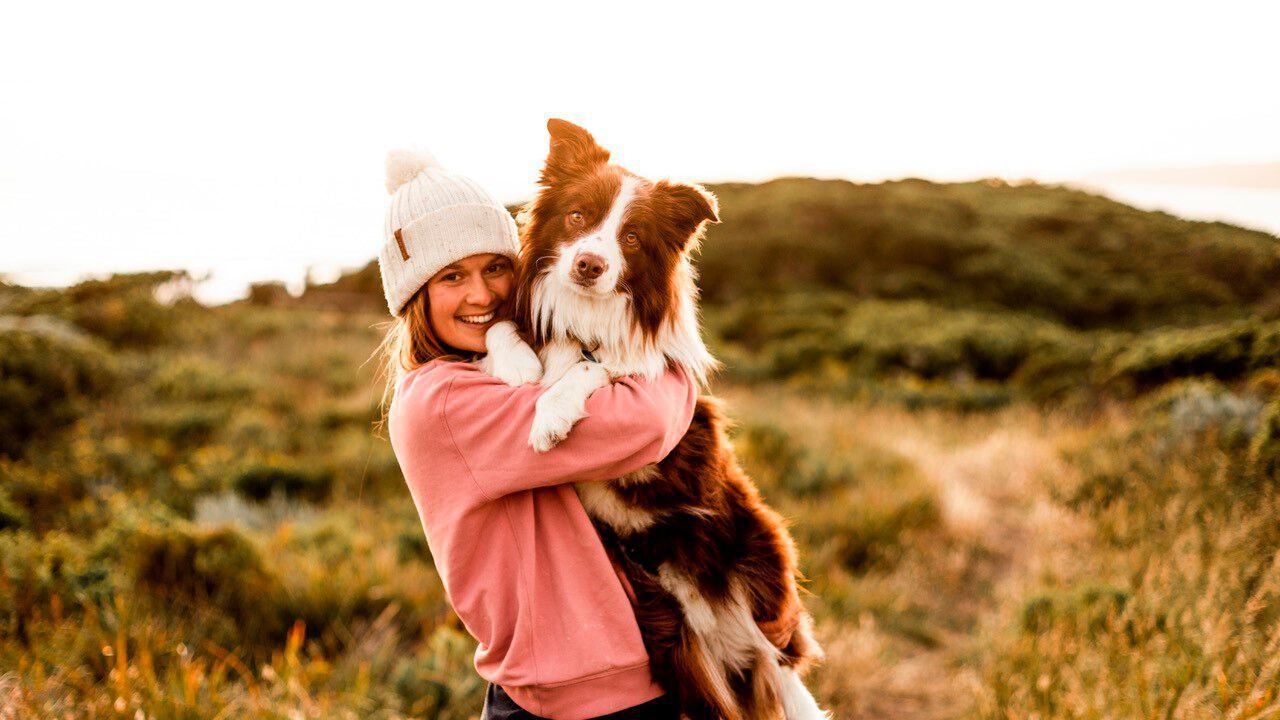 Woman holding Border Collie in arms on a mountain at sunset