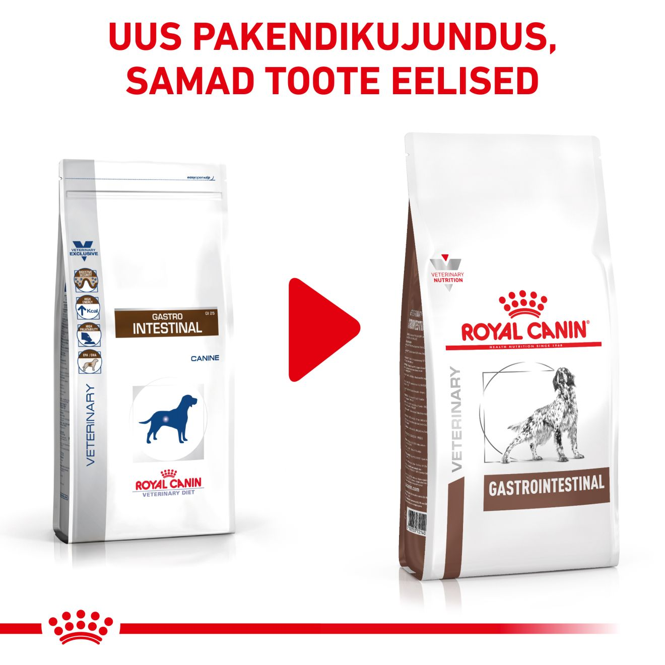 Royal Canin Gastrointestinal Dog kuivtoit