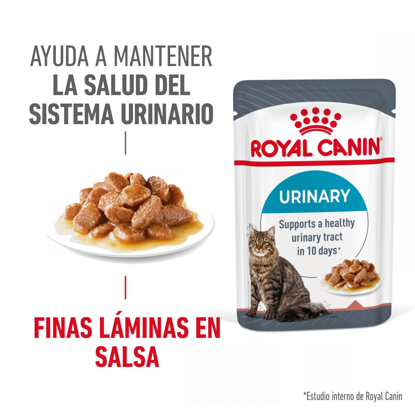 Urinary Care Finas láminas en salsa 