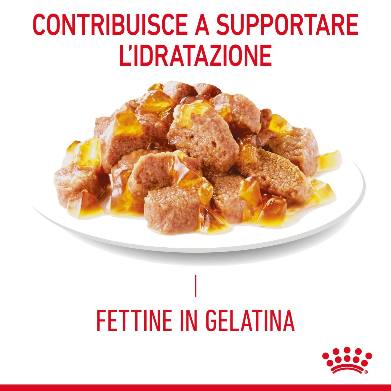 Appetite Control Care in gelatina