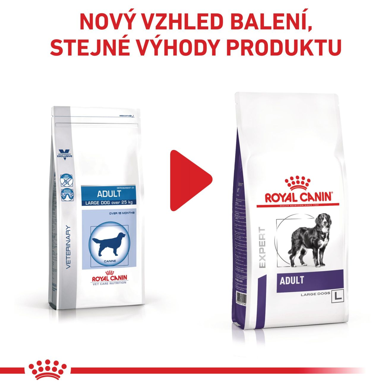 VHN  Adult large dog