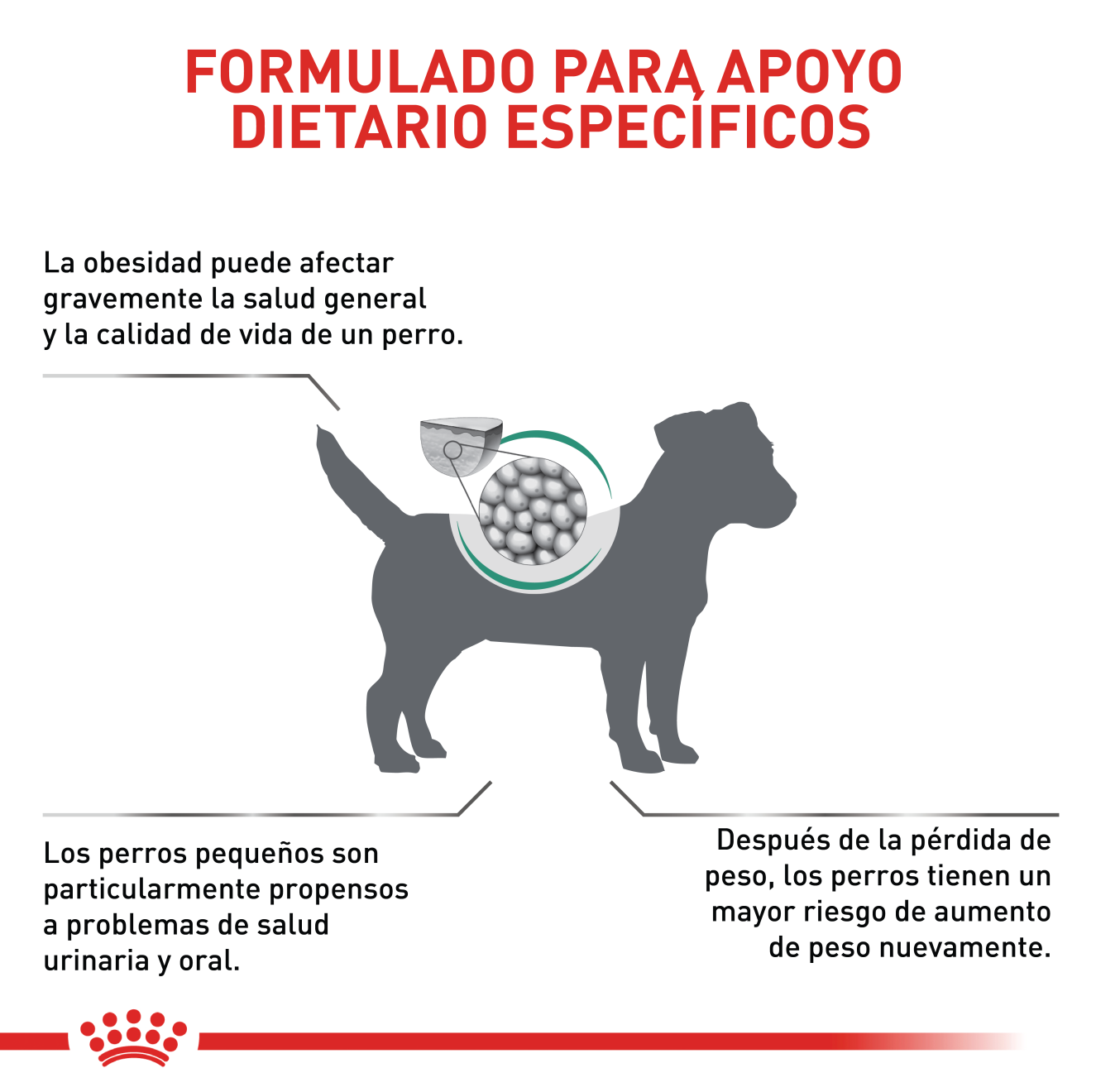 Satiety Weight Management Perro Pequeño