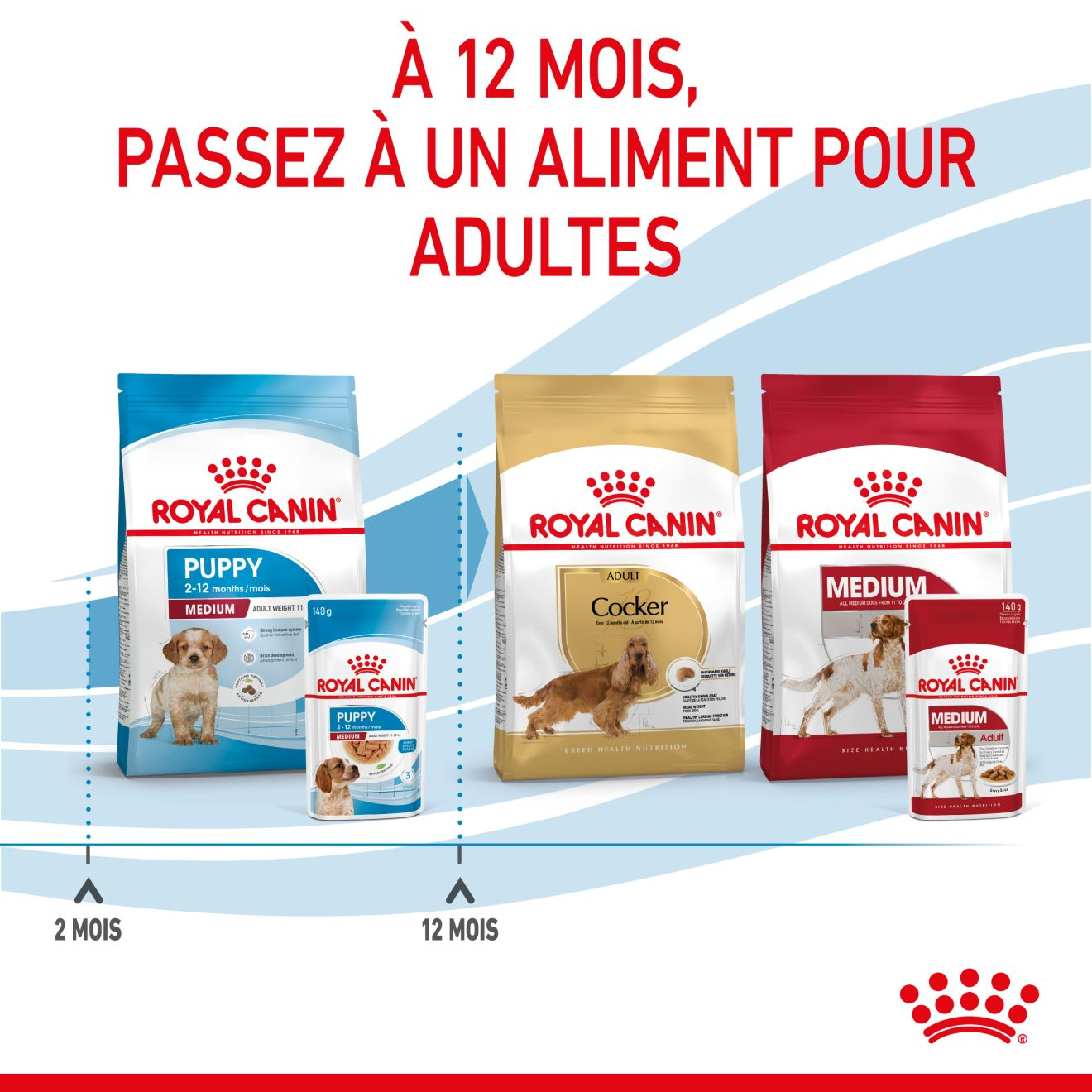 Medium Puppy Gravy (émincés en sauce)