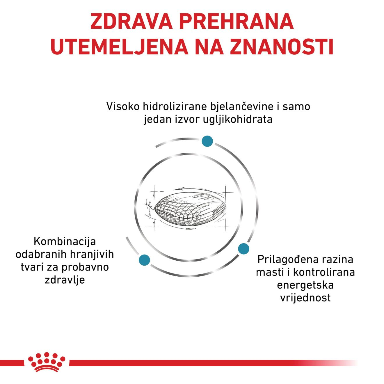 HYPOALLERGENIC MODERATE CALORIE