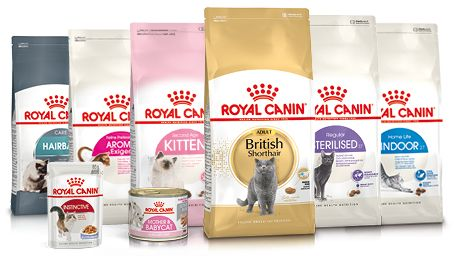 Корм Royal Canin для дорослих котів