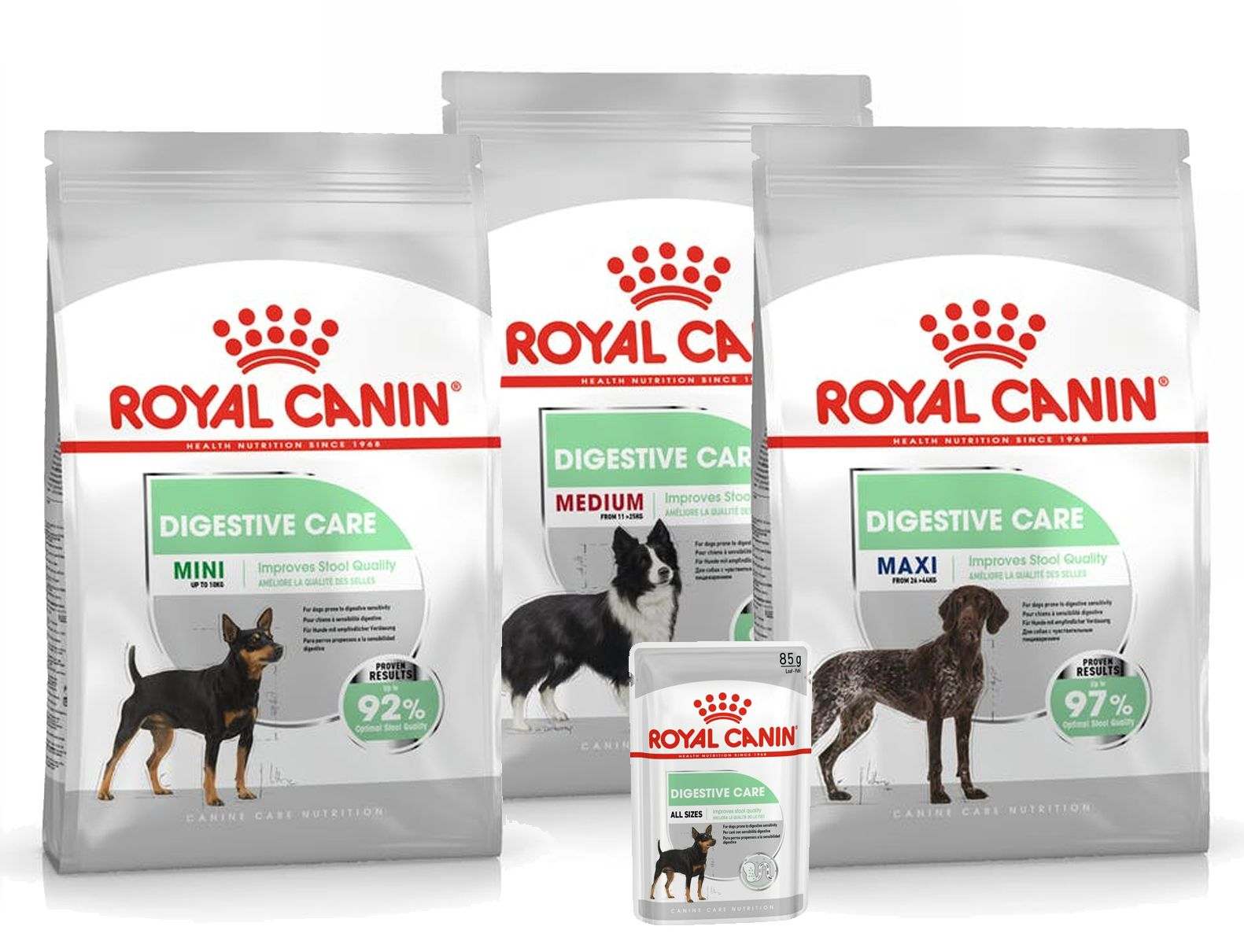 Digestive Care for mini, medium and maxi dogs