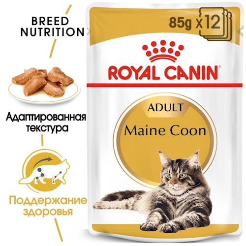 Maine Coon Adult (Мейн кун эдалт), в соусе