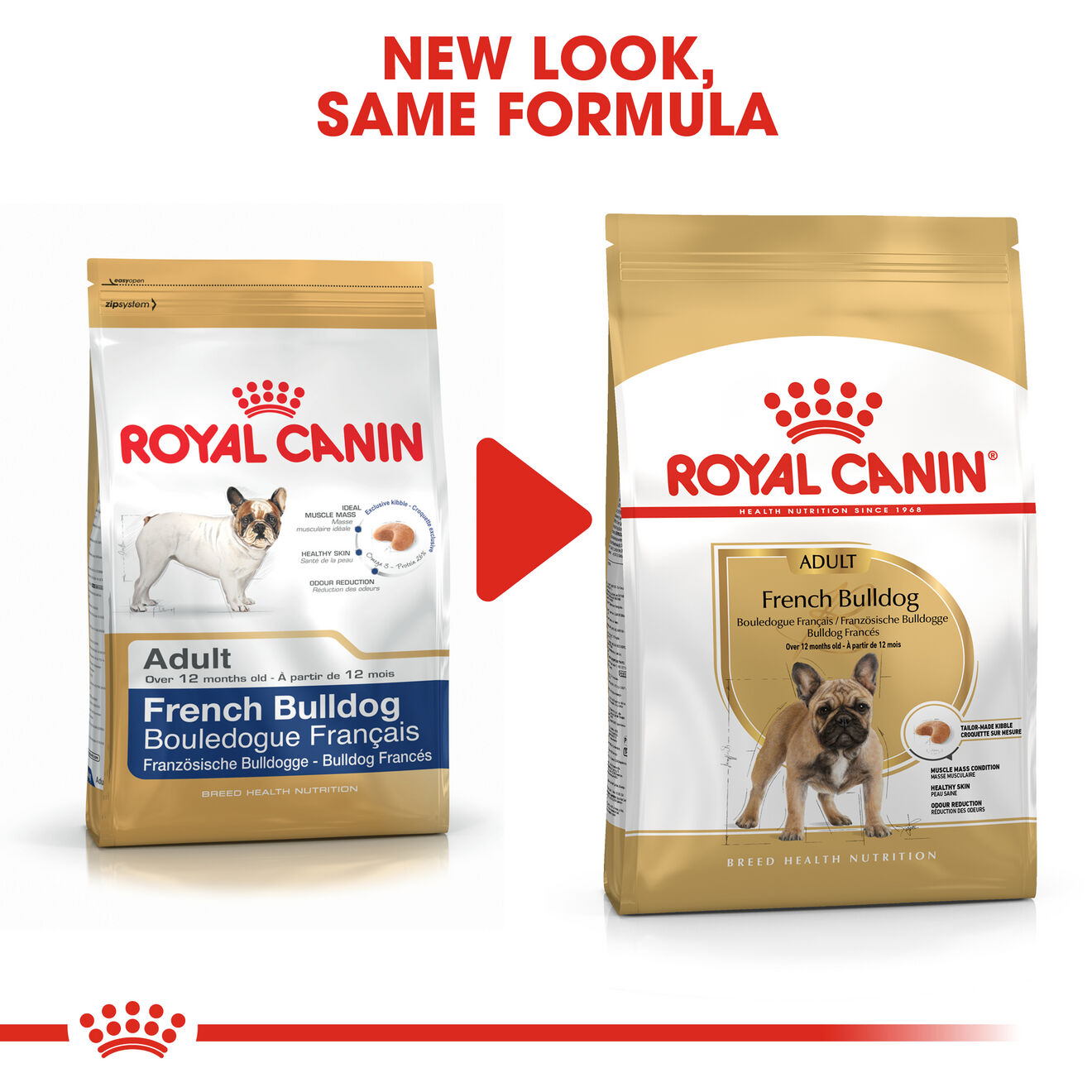 French Bulldog Adult Dog Food Royal Canin Shop Royal Canin UK