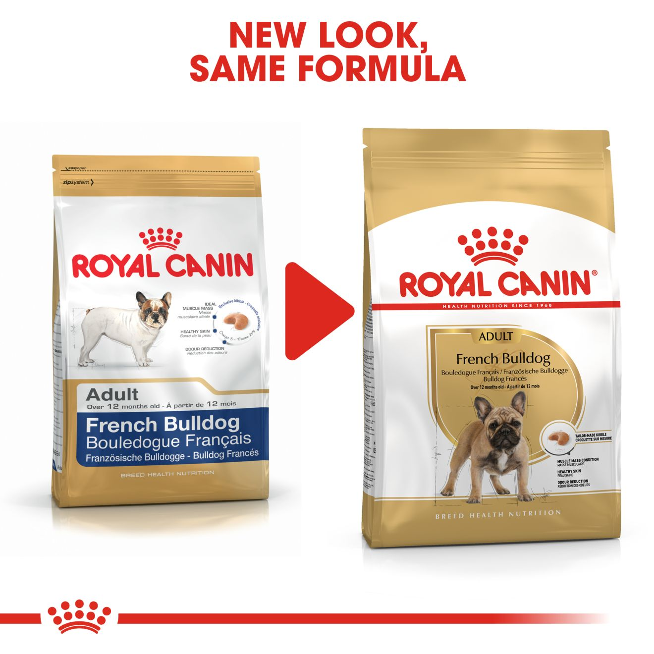 Royal canin french bulldog wet sale food