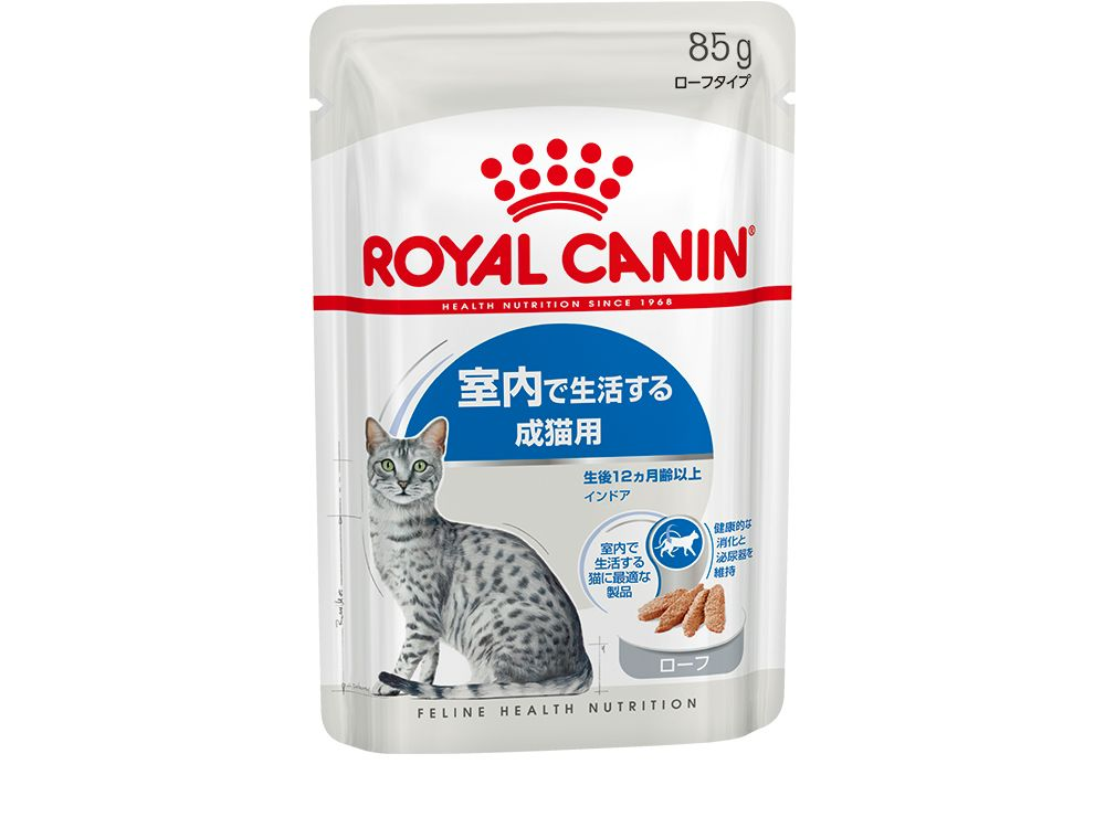 インドア ローフ（室内 成猫用 ウェット） | Royal Canin JP