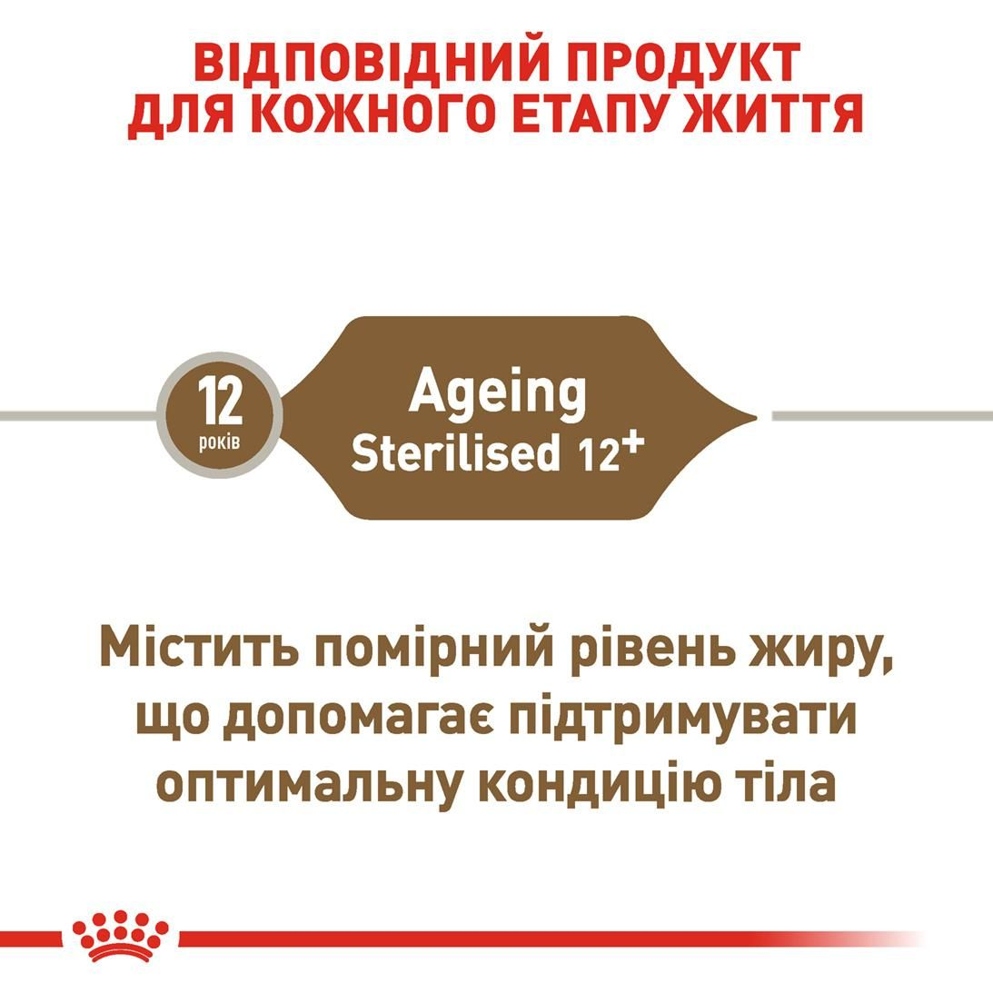 Ageing 12+ Sterilised 