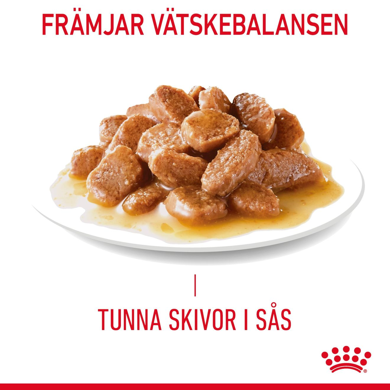 Urinary Care Gravy Adult 