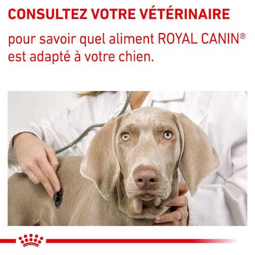 Adult Large Dogs - Aliment vétérinaire pour chien