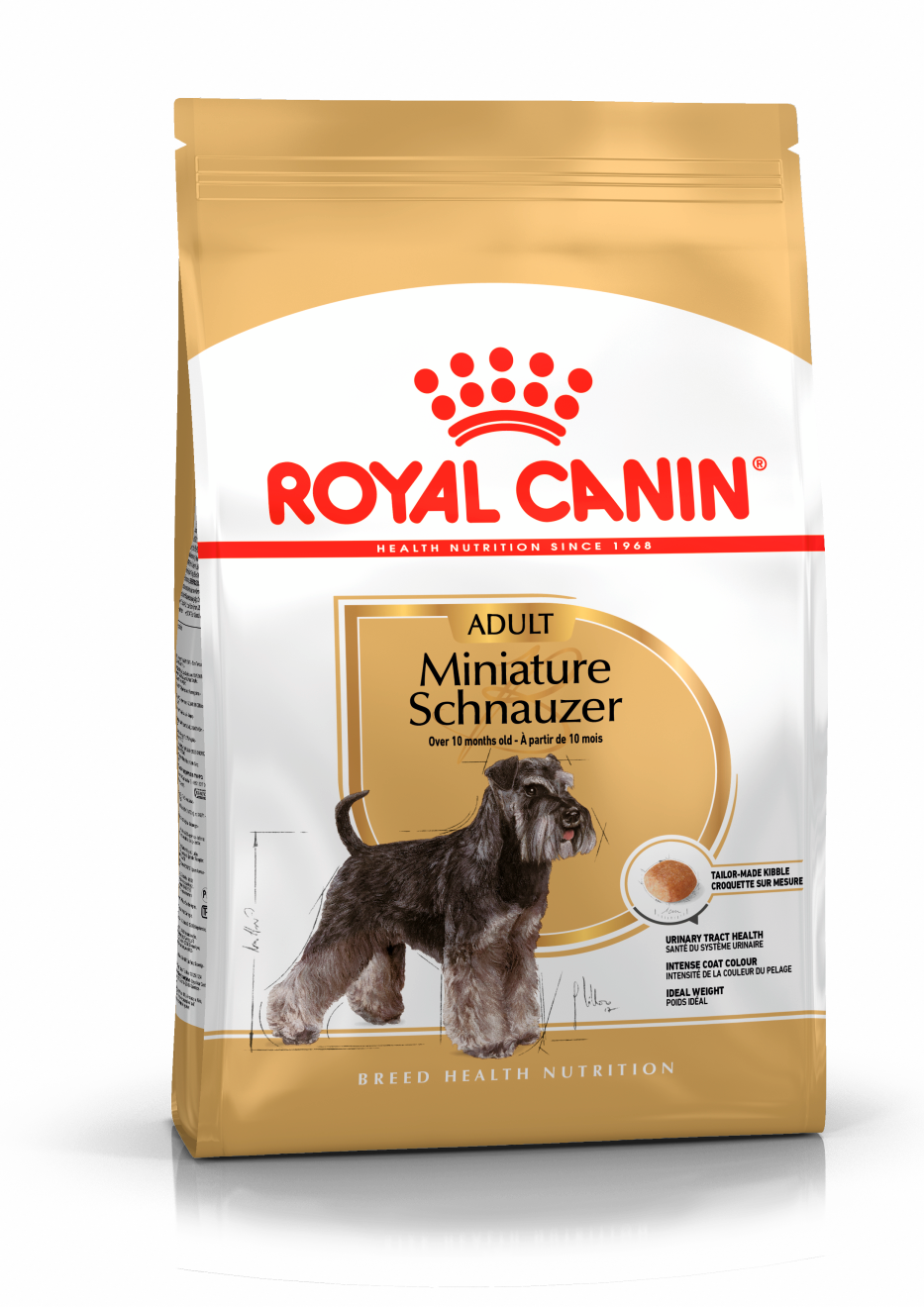 Miniature Schnauzer Adult