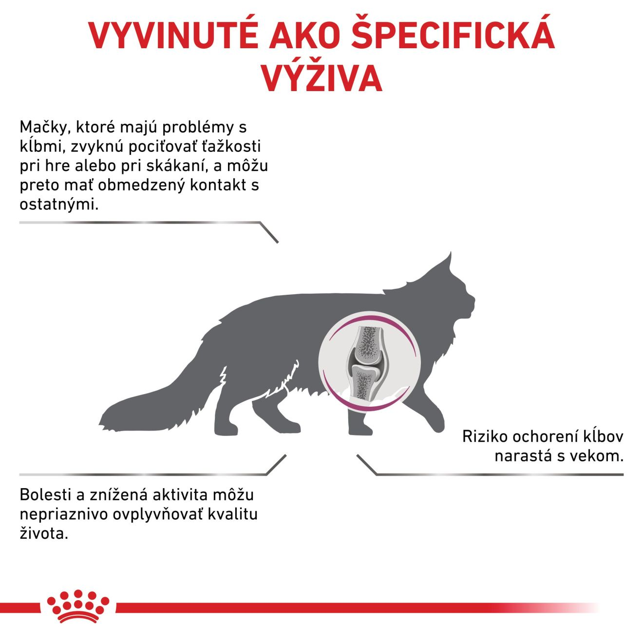 VHN Cat Mobility