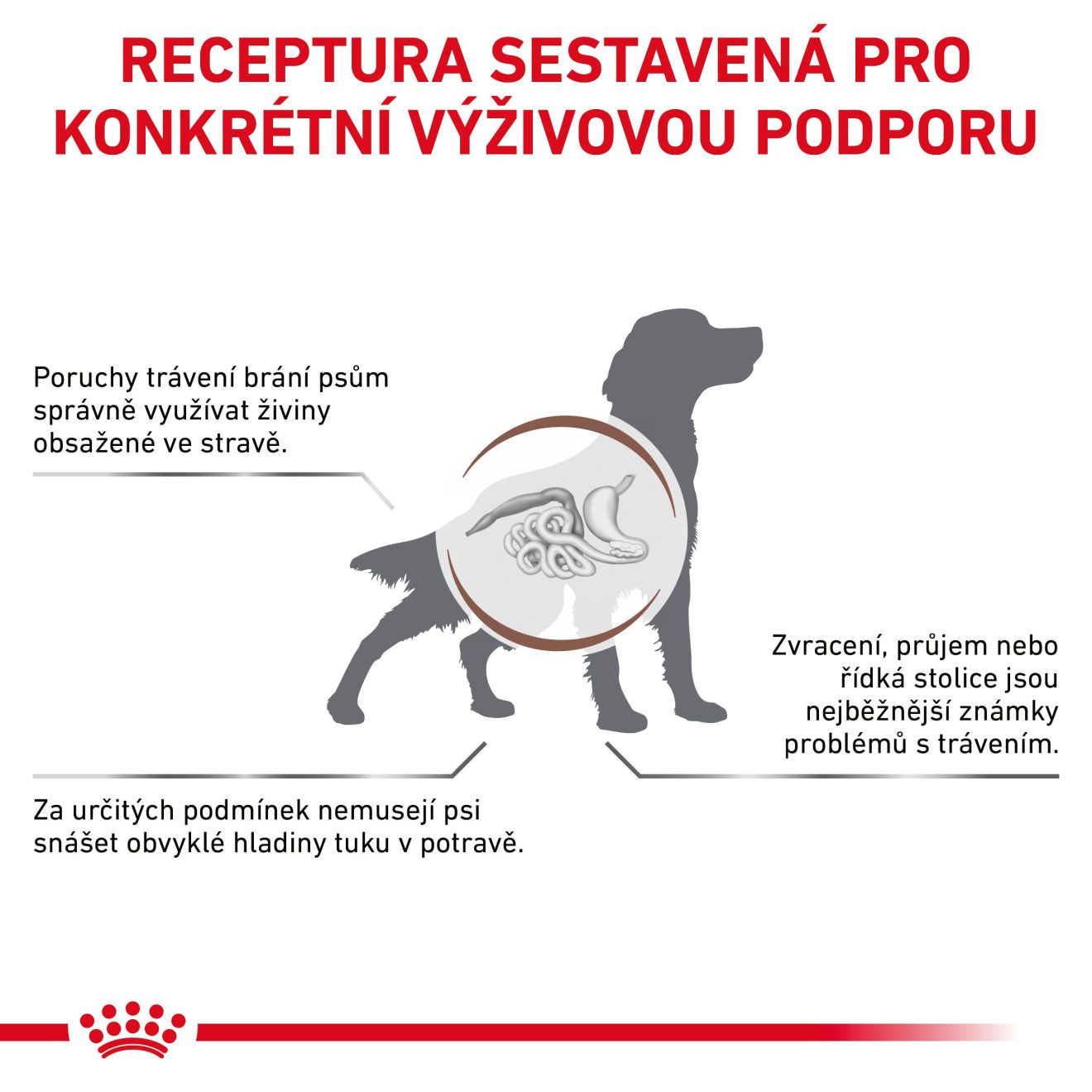 VHN Dog Gastrointestinal Low Fat