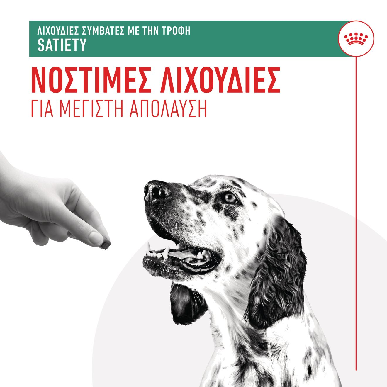 TREATS COMPATIBLE WITH SATIETY DIETS